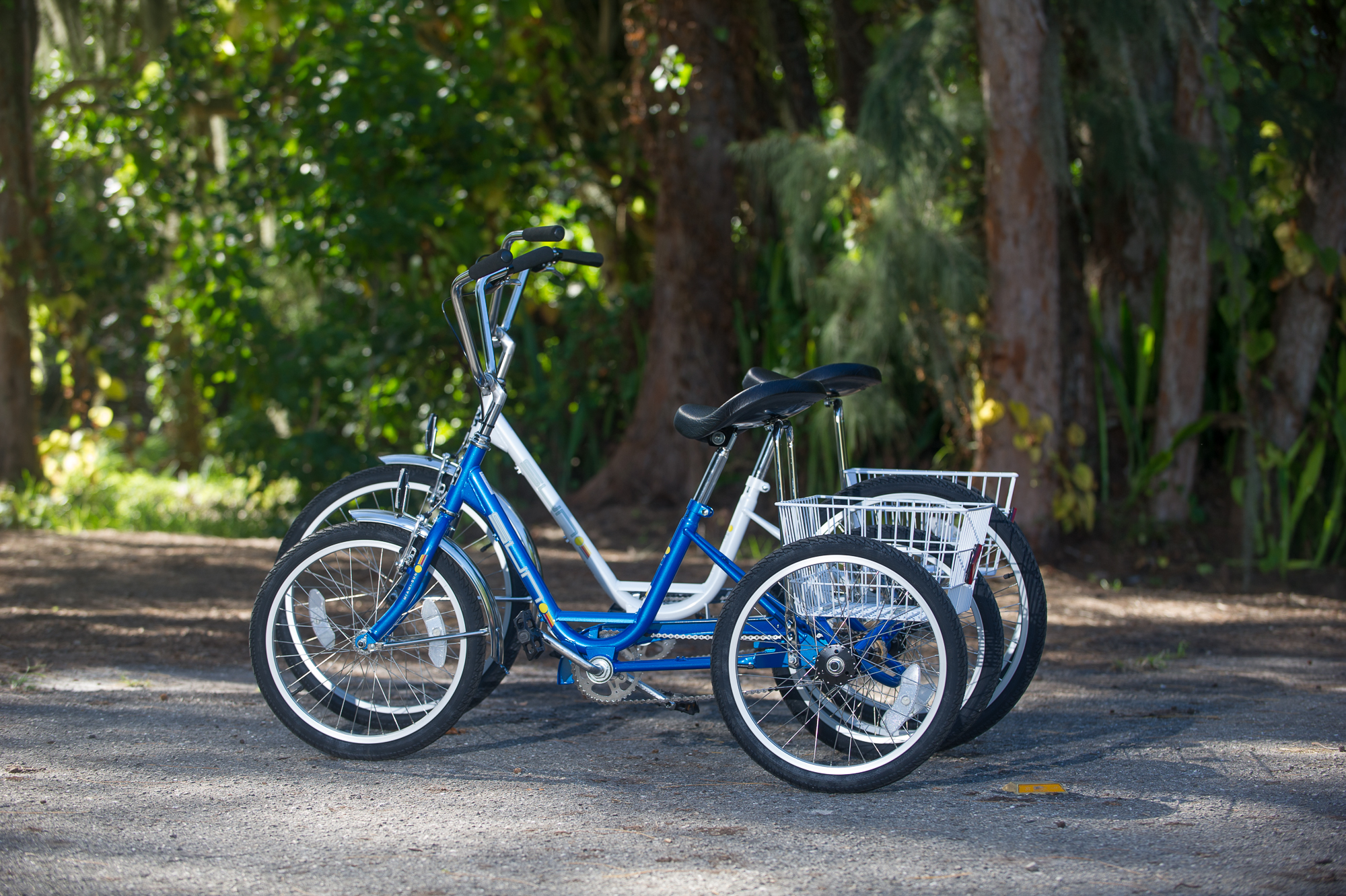 Adult 3 Wheel Trike - Image 4