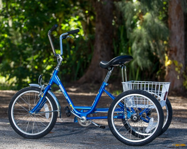 USA, Adult Tricycle Rentals