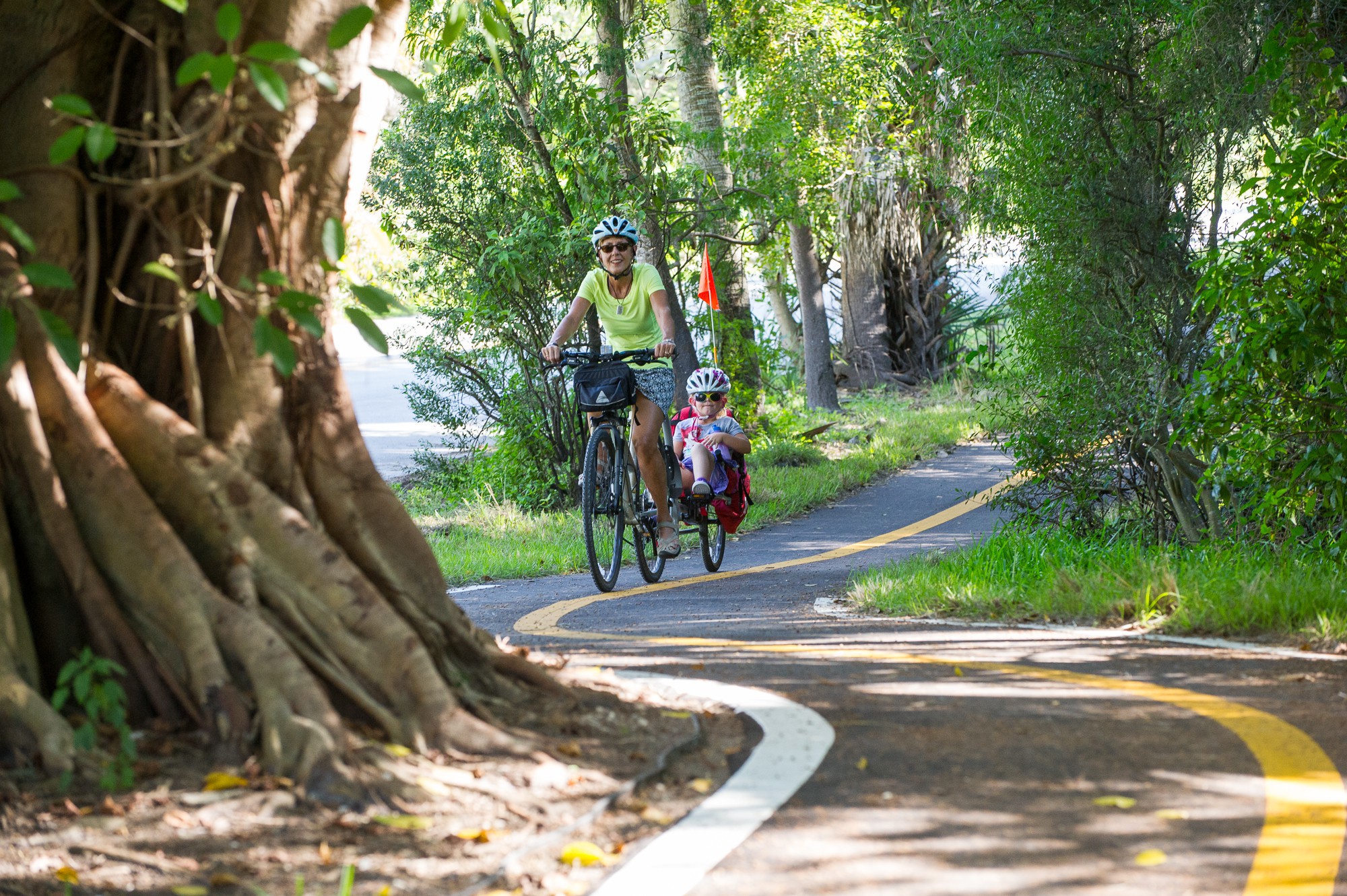 The Weehoo iGo bicycle trailer ONLY - Image 3